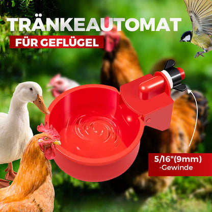 🔥🔥Geschenk für Hühnerliebhaber 50% OFF--🔥Automatische Hühnertränke Vogelhäuschen