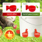 🔥🔥Geschenk für Hühnerliebhaber 50% OFF--🔥Automatische Hühnertränke Vogelhäuschen