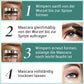🔥2026 Heißer Verkauf🔥Ultimatives Mascara-Set für Verlängerung und Schwung
