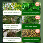 🪴🍃👍Kaufen Sie 2 und erhalten Sie 3 gratis🔥Universal schnellblühendes Pulver für Blumenpflanzen