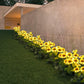 🌞🌻Wasserdichte Solar-Sonnenblumenleuchten für den Garten - Jetzt im Angebot