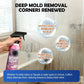 💗LAST DAY SALE 50% OFF⚡50K+ SOLD💕Multi-Surface Bathroom Cleaner for Mold & Limescale🛁