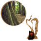 Holzschnitzerei in Herzform Dekoration