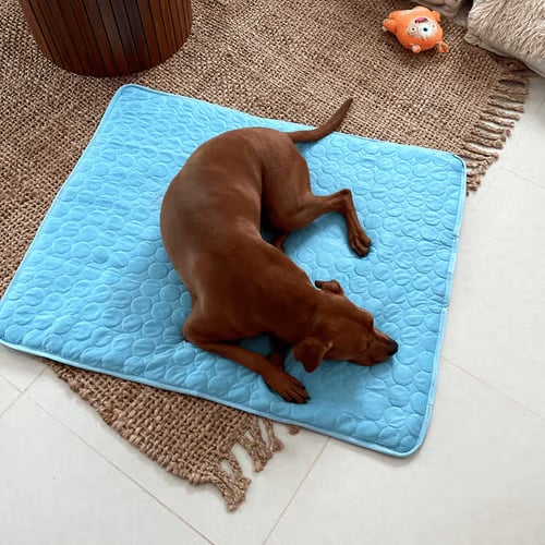 ⏳🔥NUR FÜR BEGRENZTE ZEIT: 50 % RABATT! 🐶 Kühlmatte für Hunde – 4-mal effektivere Kühlung für heiße Sommertage ❄️✨
